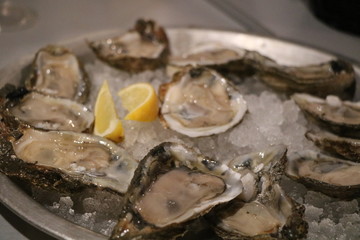 Oysters on the Half Shell