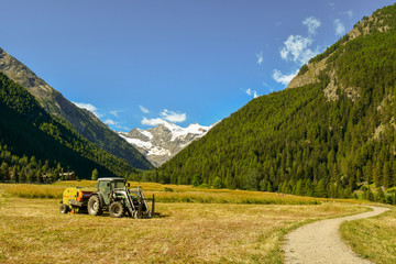 Naklejka premium Scenic mountain view with a tractor for the harvest of hay, green pine forests and snow covered peaks in the background, Cogne, Aosta Valley, Alps, Italy