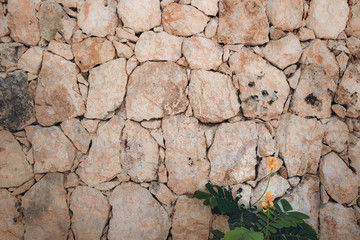 Stone wall and yellow flower background