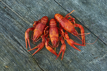 Crawfish cooked and served on wooden background