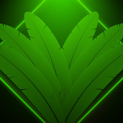 Green feather background. Abstract composition with green neon frame.
