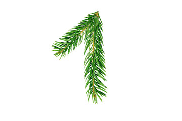 Number 1, collected from Christmas tree branches, green fir
