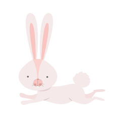 cute rabbit isolated icon