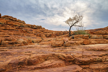 hiking in kings canyon in watarrka national park, northern territory, australia 77