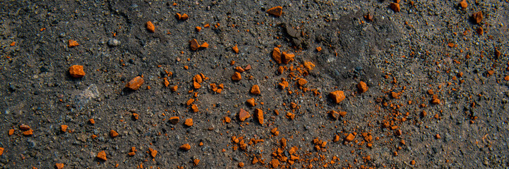 pieces of broken bricks on the asphalt walkway surface.