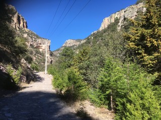 Un camino por el bosque