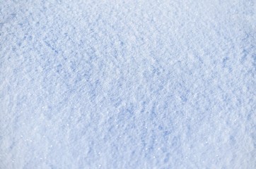 Winter landscape.