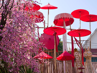 Ombreles rouges et skura en fleurs au Wat Phan Tao