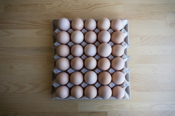 Group of organic free range chicken eggs in the basket at nature village farmland with green grass