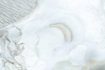 Seashell macro photography. Abstract texture background