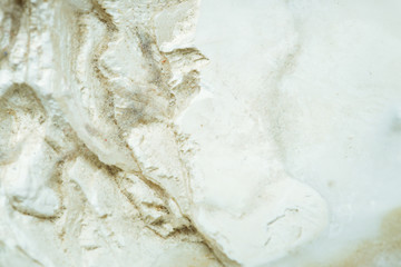 Seashell macro photography. Abstract texture background