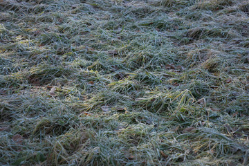 Winterlandschaft im Wald