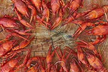 Crawfish cooked and served on wooden background