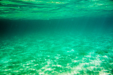 Fototapeta na wymiar Underwater texture and fauna in Ionian sea, Zakynthos, Greece