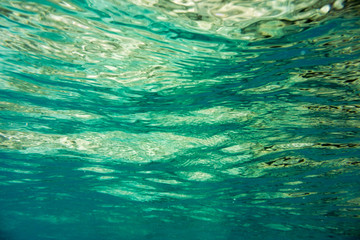 Underwater texture and fauna in Ionian sea, Zakynthos, Greece