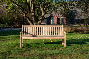 Bench in the park in autumn season