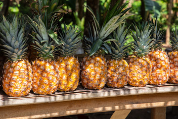 Pineapples in the market in costa rica