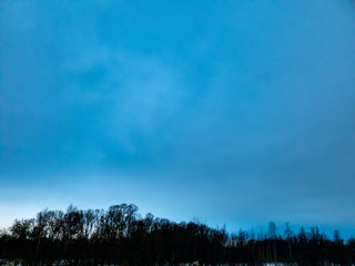 Trees in the forest. Clouds over the forest in winter.