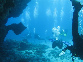 Fototapeta na wymiar diving off the coast of marsa alam