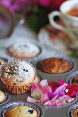 Muffins in form just baked