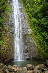 Manoa Falls 2