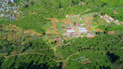 Aerial. Famous green tea plantation landscape view from Lipton's Seat, Haputale, Sri Lanka.