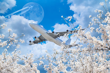 A cherry blossom and an airplane and moon