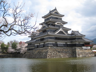 Naklejka premium 長野 桜越しに見える松本城の春