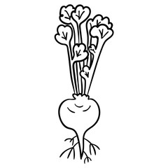Cartoon doodle linear turnip isolated on white background. Vector illustration.
