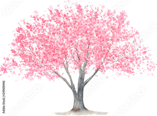 Fototapete 桜の木 水彩イラスト Fototapeten Wallsheaven Miko Fototapete 桜の木 水彩イラスト Fototapeten Wallsheaven Miko