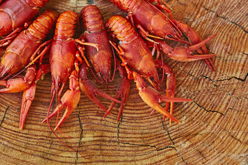 Crawfish cooked and served on wooden background