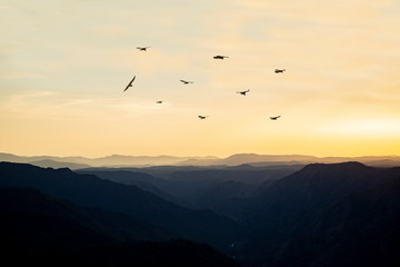 Fototapeta na wymiar A Flock of Birds Flies Into a Mountain Sunset
