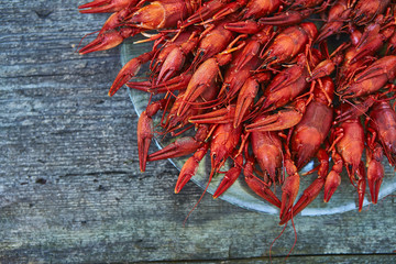 Crawfish cooked and served on wooden background