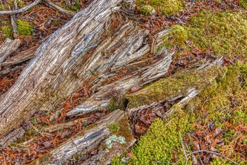 Mouth of the Amnicon River in Northern Wisconsin