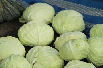 Fototapeta na wymiar Head cabbage for cooking at street food