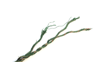 old rope on white background.