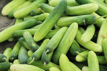 Fresh cucumbers for cooking in the market