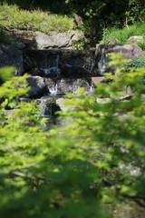 新緑に包まれた初夏の神戸・須磨離宮公園の滝