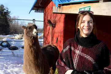 Llama Farming with Woman
