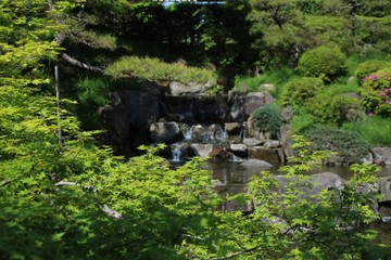 Fototapeta na wymiar 新緑に包まれた初夏の神戸・須磨離宮公園の滝