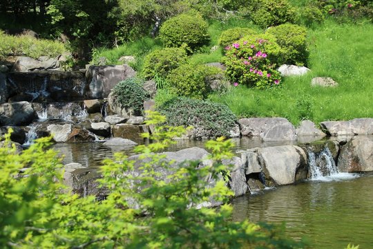 新緑に包まれた初夏の神戸・須磨離宮公園の滝