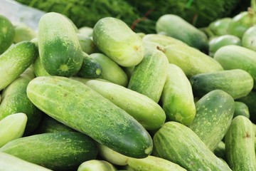 Fresh cucumbers for cooking in the market