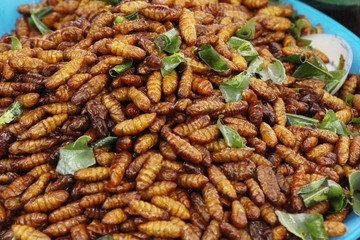 Fried silk worms delicious in street food