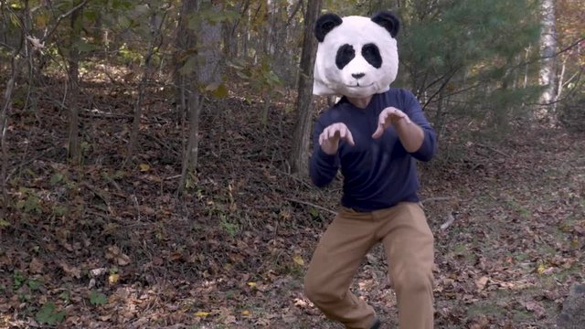Man silly dancing with a panda head mask while outside in a park