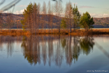 reflection of autumn trees in the lake