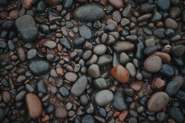 Processed with VSCO with c8 preset