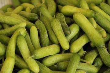 Fresh cucumbers for cooking in the market