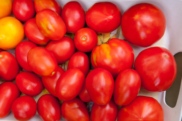 Autumnal harvest: background of red tomatoes