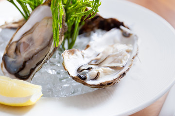 Fresh oysters with lemon in Thai seafood style.