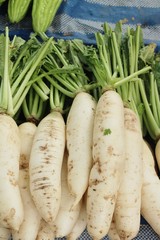 Fresh radish for cooking at street food